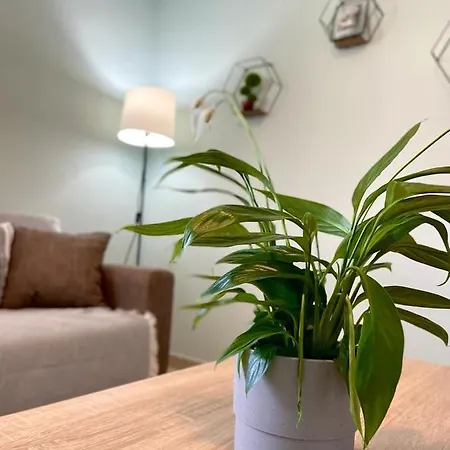 Apartment The Breeze & Sunlight Vrasna